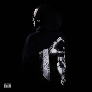 日韩高清无码毛片
