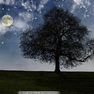 日韩高清无码毛片
