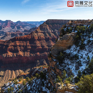 日韩高清无码毛片
